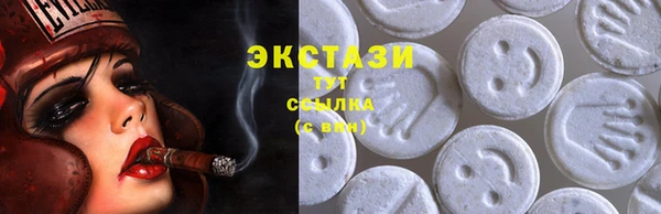 прущие грибы Ельня