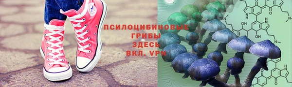 COCAINE Алзамай